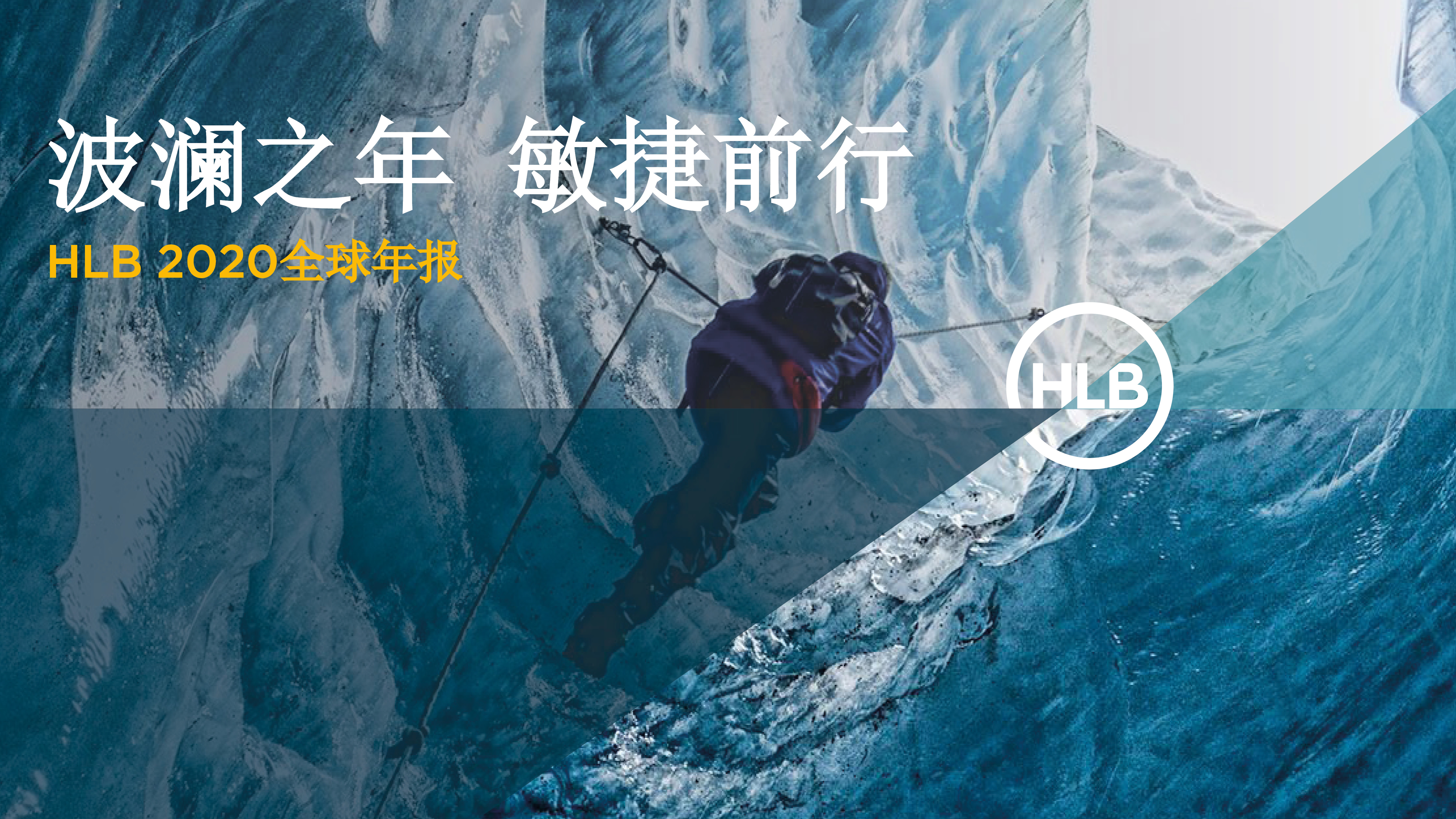 Featured image for “HLB 2020全球年报”